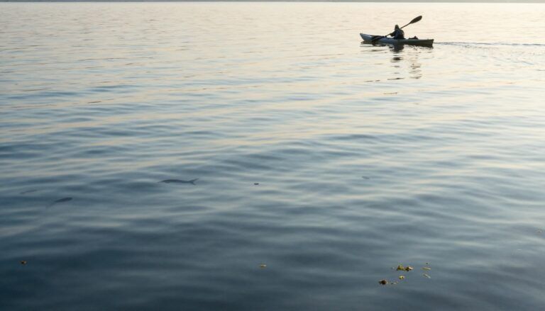 How to Read Wind on a Pond or Small Lake, Find the “Pushed” Food Zone